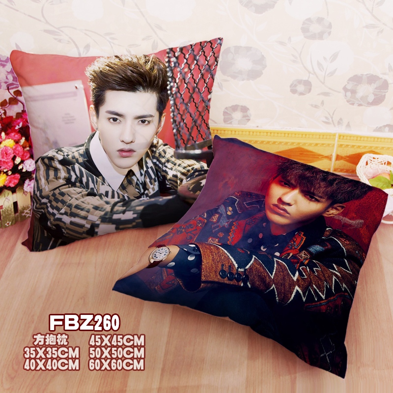 Wu Qian Star 45x45cm(18x18inch) Square Anime Dakimakura Throw Pillow Cover
