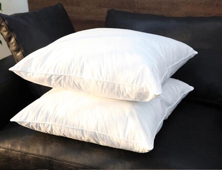 Inner Insert Cushion Throw Pillow 45*45cm,40*60cm,40*70cm