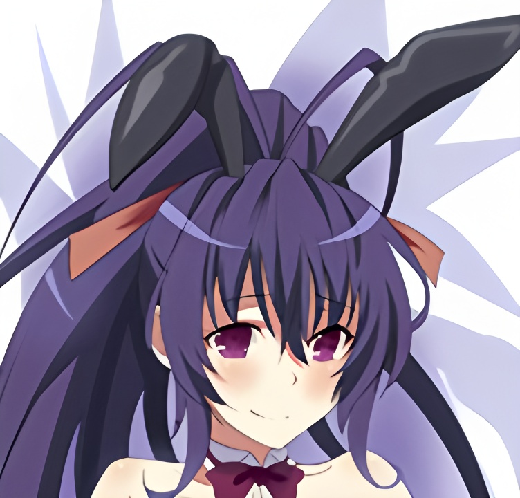 Akeno Himejima - High School DxD Dakimakura 3d pillow japanese anime pillowcase