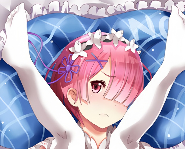 Rem and Ram - Re:Zero body anime cuddle pillow covers